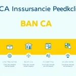 Understand the benefits of BAN CA insurance products with a detailed infographic design.